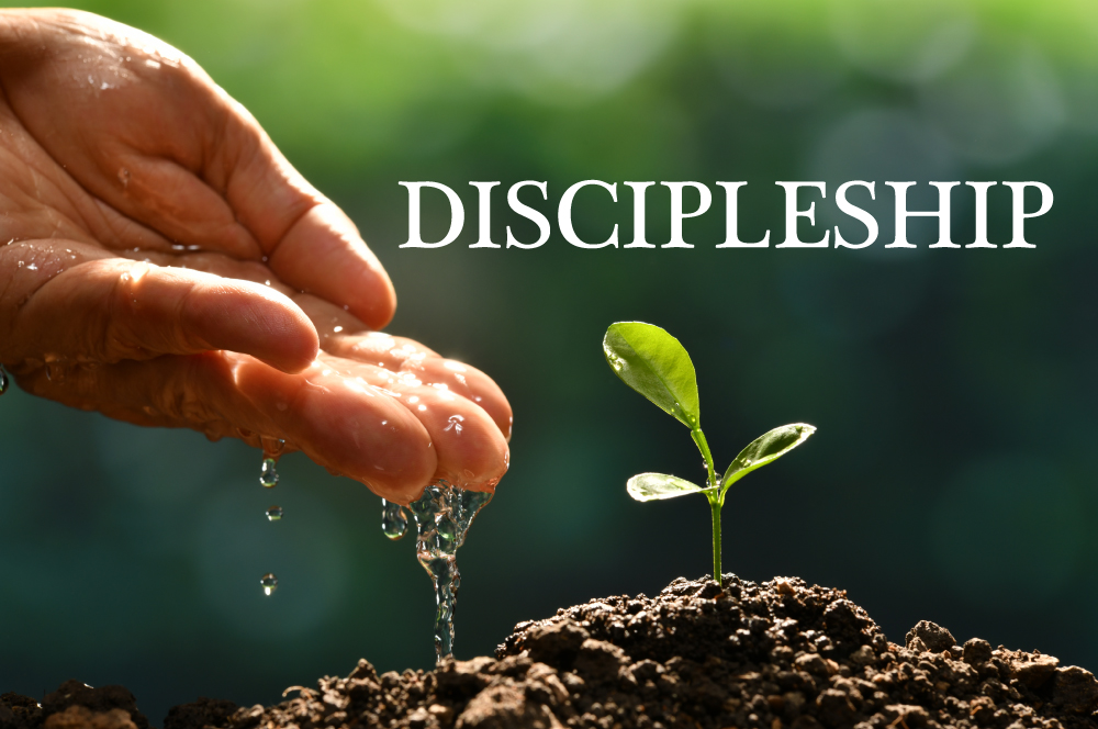 DISCIPLESHIP PRODUCES FRUITFULNESS, Devotional box, Daily Devotional, Pastor, Bible, Isaiah Wealth Ministries, Word of God, it begins with acknowledging God, prophet isaiah wealth, loving God, reverence towards God