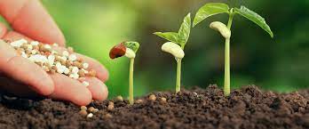 FRUITFULNESS IS ACCORDING TO SEED SOWN,Devotional box, Daily Devotional, Pastor, Bible, Isaiah Wealth Ministries, Word of God, it begins with acknowledging God, prophet isaiah wealth, loving God, reverence towards God