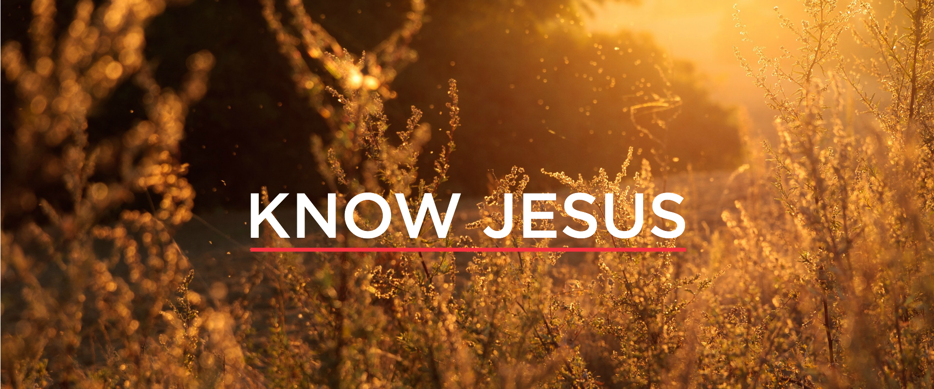 KNOW JESUS THE MORE